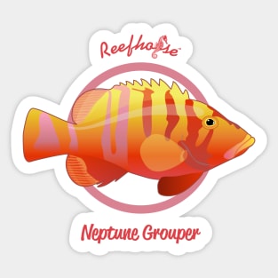 Neptune Grouper Sticker